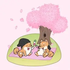 Hyper Potions - Cherry Blossoms