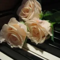 Обложка трека Я ніколи нікому тебе не віддам