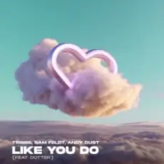Tribbs & Sam Feldt & Andy Dust & Dotter - Like You Do (Extended Mix)
