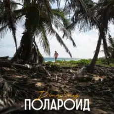 Dima Sneg - Полароид (Remix)
