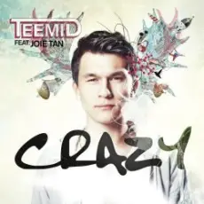 Teemid - Crazy (Club Edit) (Feat. Joie Tan)