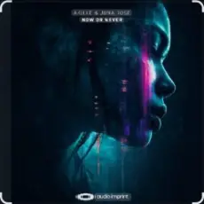 Akille & Juna Rose - Now Or Never