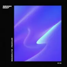 MalYar & Y_K - Picaflo