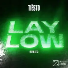 Tiesto - Lay Low (SLVR Remix)