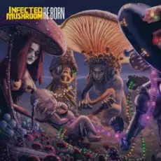Infected Mushroom - UMF Radio