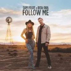 Sam Feldt - What About The Love