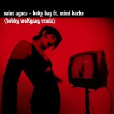 Saint Agnes feat. Mimi Barks - Body Bag (Bobby Wolfgang Remix)