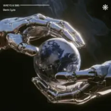 Waeys & SMG - Blank Cycle