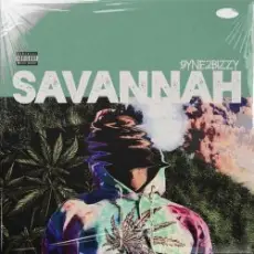 Savannah - Fight Your Way