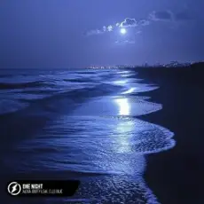 Alosa, Booty Leak, Elle Blue - One Night