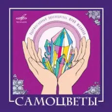 ВИА САМОЦВЕТЫ - По морозу, по зиме