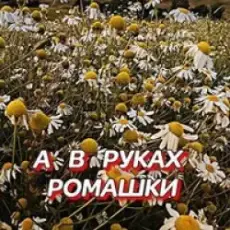 Грищук И Дуэт Гравитация - Я Ждала Так Долго Тепла