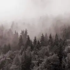 Y.K. Music - У Тумані