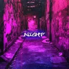 fredbydredd & charonbabymusic - Night