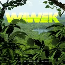 Wiwek - Salute