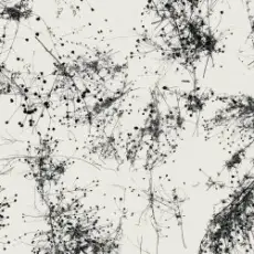 Taylor Deupree - Everything's Gone Grey