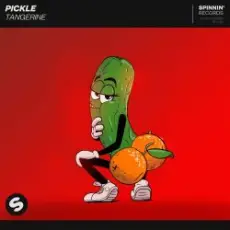 Pickle - Journey