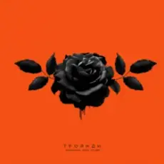 kavabanga Depo kolibri - Троянди