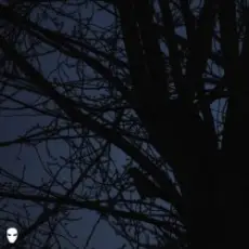 Pharmacist - Dreamin