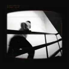 Electrobirds - Вітер, неси