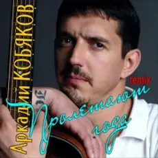 Аркадий Кобяков - Пролетают года