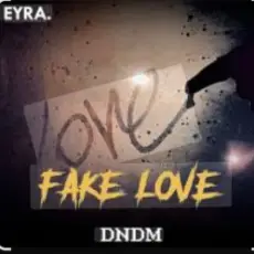 DNDM - Fake Love