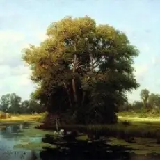 Льонок - Шумiла сосна i явiр