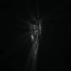 bbno$ - diamonds are forever