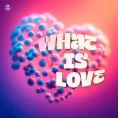 SYNFLO & Niki Four - What Is Love