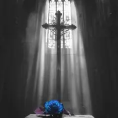 Обложка трека Lost Your Faith (SONIKKU Remix)