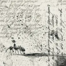 Jolliffe & Kublai & Verbz - Frames