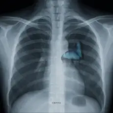 Vsivdoma - Світло