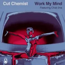 Cut Chemist - Storm