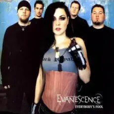 Evanescence - Everybody's Fool (Instrumental Version)