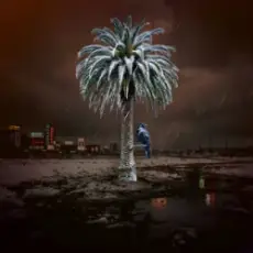 TATOKATUSI - HOBOPI4HI T.