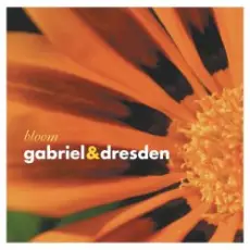 Gabriel & Dresden - Lament
