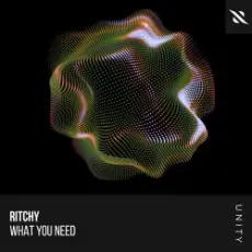 Ritchy - What You Need