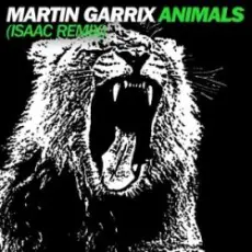 Martin Garrix - Animals (Isaac Remix)