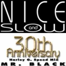 Mr Black - Nice And Slow (Radio Mix)