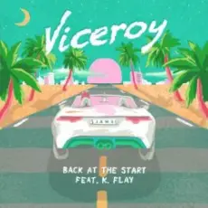 Viceroy feat. Tom Aspaul - Improvise
