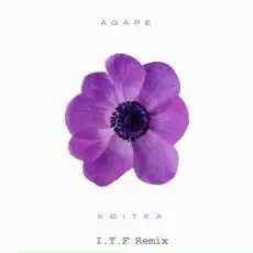 Обложка трека Квітка (I.T.F Remix)