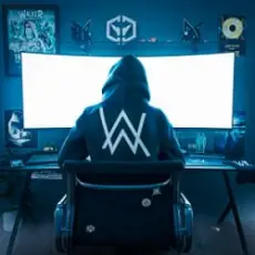 Alan Walker - Me Myself and The Night