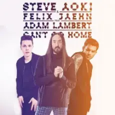 Steve Aoki & Felix Jaehn feat. Adam Lambert - Can't Go Home (Radio Edit)