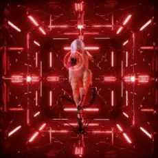 Dinamarca & Meth Math - Chairo