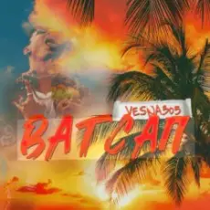 VESNA305 - Ватсап