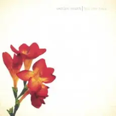 Caitlyn Smith - Crushed And Created