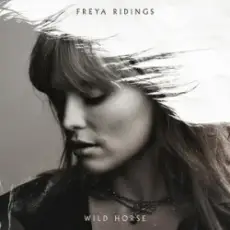 Freya Ridings - Wild Horse