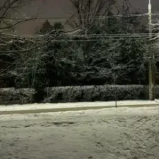 ALEKCION - До торкнись