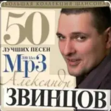 Александр Звинцов - Атаман