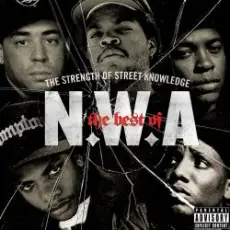 N.W.A - Something Like That